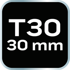 Končni pokrovček TORX T30 x 30 mm, S2 x 2 kosa 10-920
