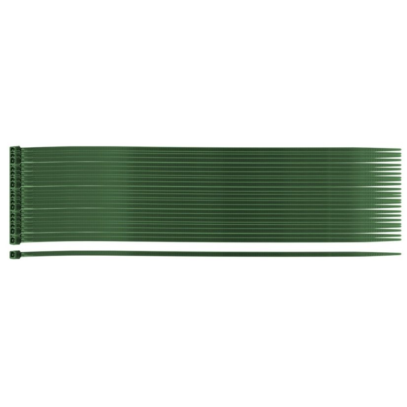 Gartenband 2,5 x 200 mm, 50 Stück, grün 15-977