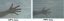 Beschattungsnetz GRÜN 1,5M x 25M 90% SCHATTEN