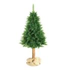Коледна елха с пън