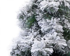 Brad de Crăciun pe trunchi, Molid de munte 210cm Snowy