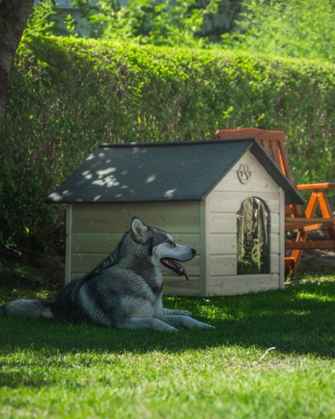 Hundehütte Ajša XL