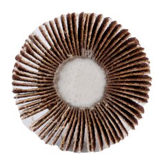 Laminiran disk 50 x 30 x 6 mm, P120 58T397