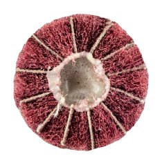 Laminiran disk 30 x 25 x 6 mm, P60 58T411