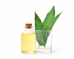 Illóolaj Eukaliptusz 12 ml