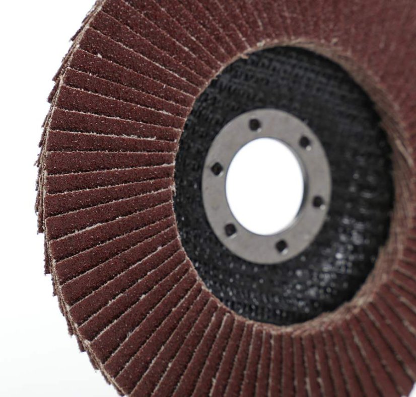 Lamelni disk 125 mm/22,23 mm brusni P80 TA1002