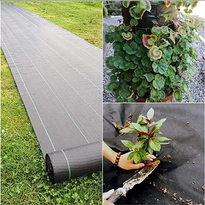 Agroszövet 1,6 x 100 m - 70 g/m2