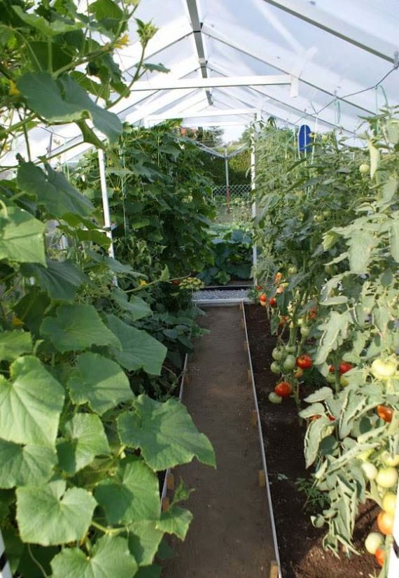 Gewächshaus aus Polycarbonat 210x405x191cm