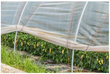 Care este cea mai bună folie pentru solar? 3 caracteristici de avut în vedere