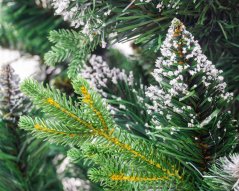 Vánoční stromek Borovice 220cm Royal Crystal