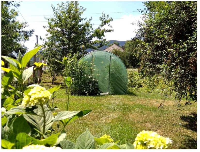 Оранжерия за градина 2x2м с UV защита STANDARD