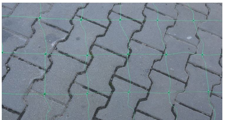 Podpůrná síť pro rostliny 2x10m, zelená