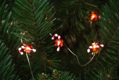 Světýlka na baterky 20LED 2,2m Candy Cane