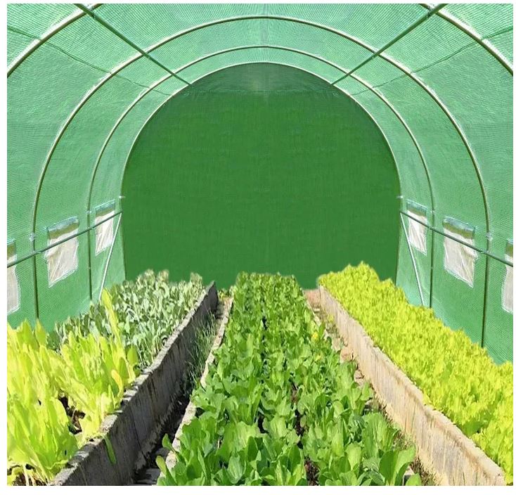 Vrtni rastlinjak 2x2m z UV filtrom STANDARD