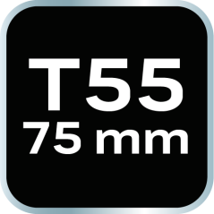 TORX-Endkappe T55 x 75 mm, S2 x 2 St. 10-948