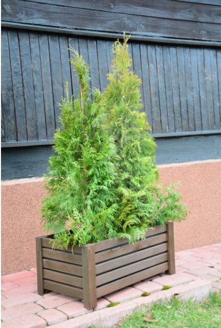 Dřevěný květináč Hnědý 60x30x25cm