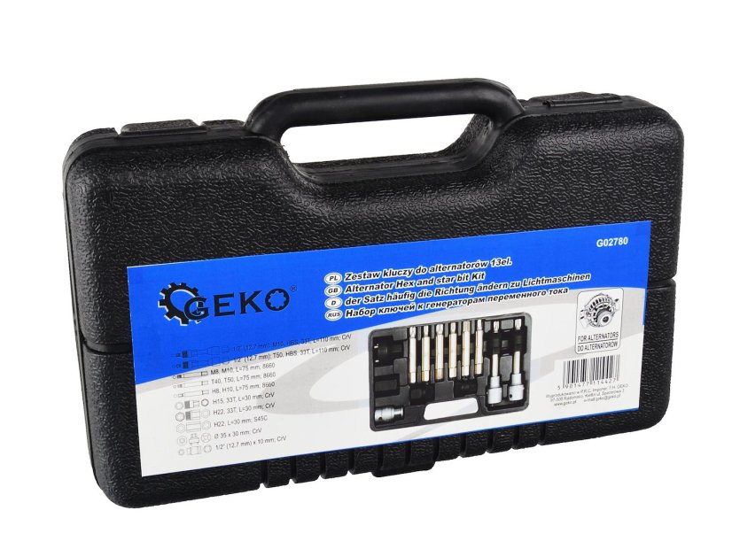 13-teiliges Satz für Lichtmaschinen G02780