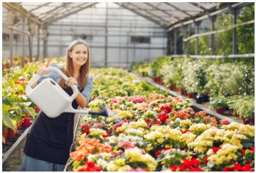 4 cele mai eficiente sisteme de încălzire pentru sere