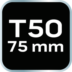 TORX-Endkappe T50 x 75 mm, S2 x 2 St. 10-946
