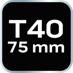 TORX-Endkappe T40 x 75 mm, S2 x 2 St. 10-942