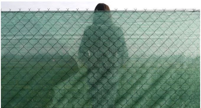 Beschattungsnetz grün 2x25m 55% Beschattung