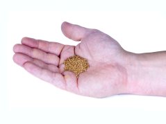 Ořechové skořepiny na pískování 1 - 1,7 mm, 5kg