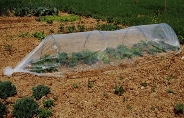 Fóliaalagút 0,5x10m Garden