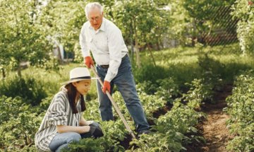 Kada je najbolje početi sadnju u vrtu?