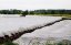 Agrotekstil 1,1x10m 17g bijeli