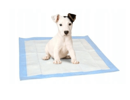 Tisztasági alátét kutyáknak és macskáknak 40 x 60 cm - 10 db