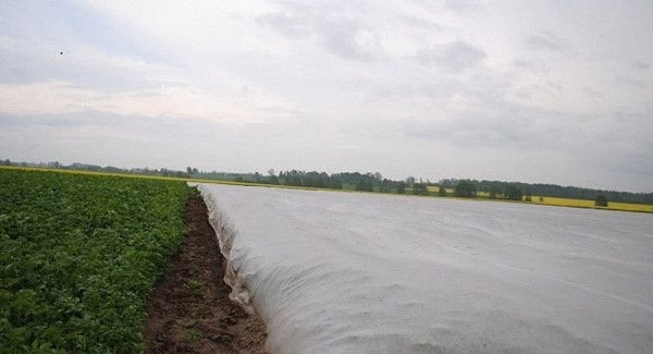 Agrotekstil 1,1x10m 17g bijeli