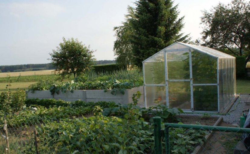 Gewächshaus aus Polycarbonat 210x405x191cm