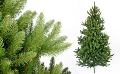 Коледна елха Смърч 220cm Royal Wild