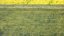 Plasa de umbra verde 1x50m 55% umbra