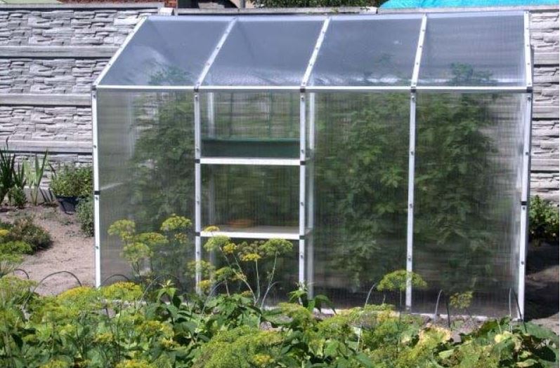 Gewächshaus aus Polycarbonat 210x405x191cm