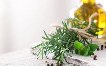 Zelišča v kuhinji: Kako jih enostavno gojite na oknu ali balkonu