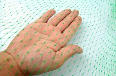 Ochranná síť proti ptákům 4x10m, 10g s kotvami