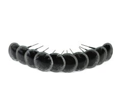 Коригираща гъбичка 6 мм, 10 бр. G71213