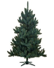 Brad de Crăciun Molid Argintiu 250cm