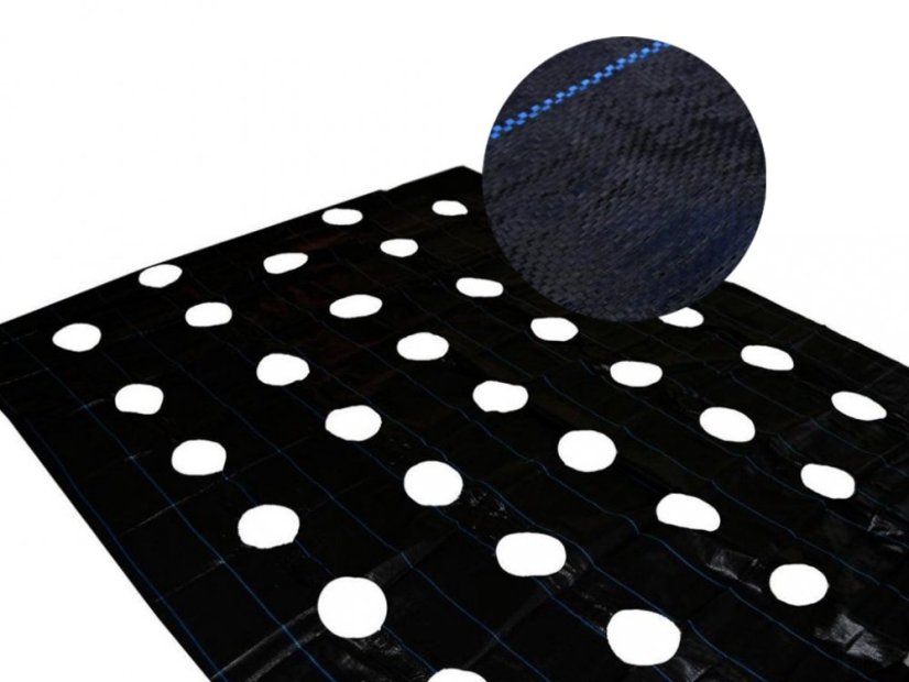 Agroszövet lyukakkal 2,2x10m 90g/m2