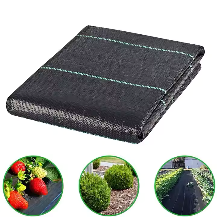 Agrotekstil 0,8 x 100 m - 70 g/m2