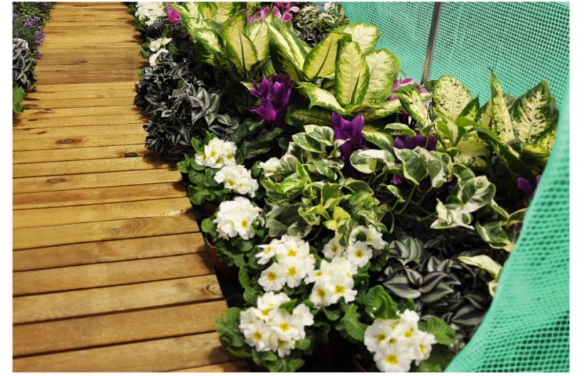 Kerti fóliaház/fóliasátor 2x3m UV filterrel PREMIUM