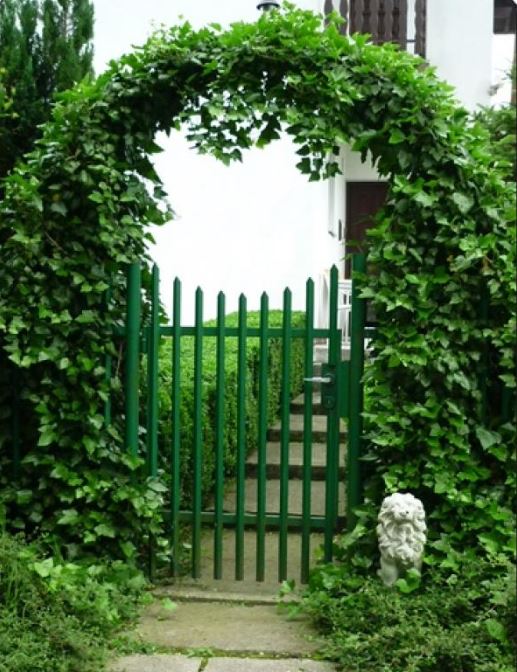 Kerti íves rózsafuttató keret 140x38x240cm