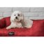 Hundebett 130x100cm Burgundy Honey XXL