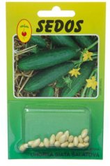 Kumara sejana solatna 20 semen