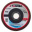 Lamelni disk 125 mm/22,23 mm brusni P36 TA1004