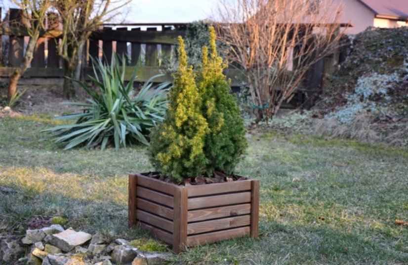 Ghiveci din lemn Maro 38x38x25cm