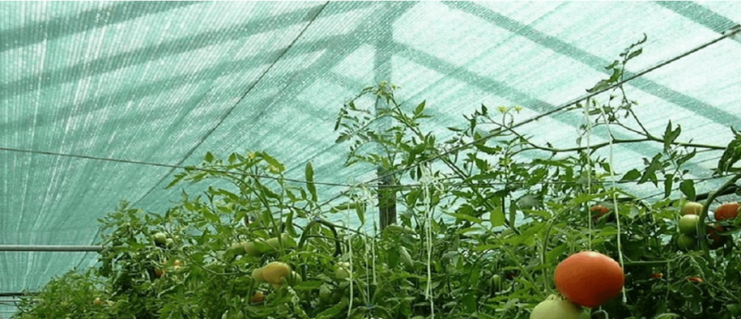 Árnyékoló háló SZÜRKE 1,5M x 50M 90% ÁRNYÉK