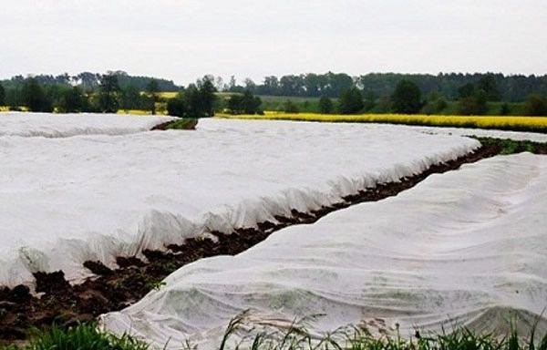 Agrotekstil 1,1x10m 17g bijeli