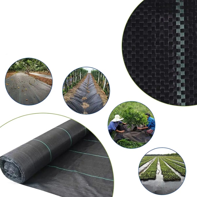 Agroszövet 1,6 x 100 m - 70 g/m2